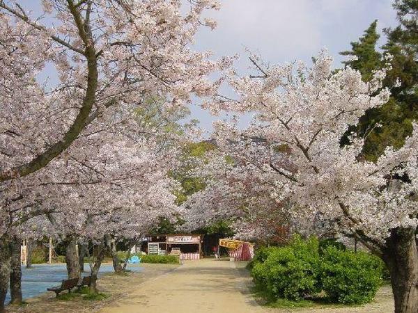 道後公園.jpg