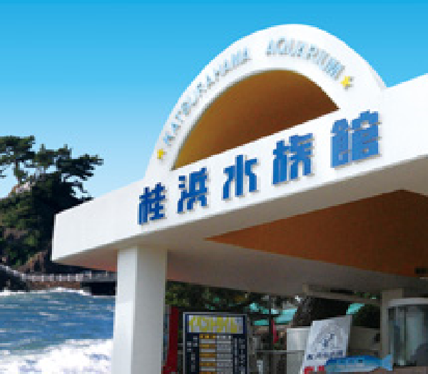 桂浜水族館.png