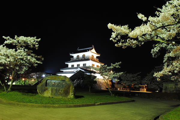 白石城夜桜.JPG