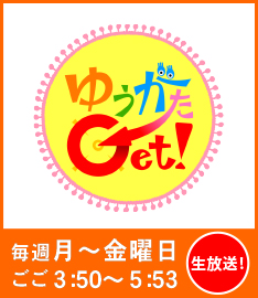link-get-logo.jpg