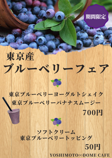 TOKYO BLUEBERRY (2).png
